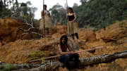 Cuộc chiến “giải cứu” rừng Amazon: Hy vọng mang tên Lula