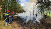 Quảng Ngãi đề nghị Trung ương cấp gần 19 tỷ đồng để phòng chống cháy rừng