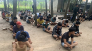 Tạm giữ 51 đối tượng đá gà ăn tiền quy mô lớn ở Tây Ninh
