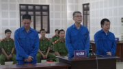 Vụ thả chó Pitbull cắn người tại Đà Nẵng: Nạn nhân cũng bị phạt tù