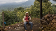 Mexico: Mafia chuyển từ ma túy sang bơ