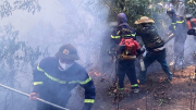 Điều tra nguyên nhân, thiệt hại vụ cháy rừng tại Nghệ An