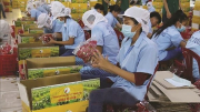 Đề nghị Australia sớm mở cửa thị trường cho nông sản Việt Nam