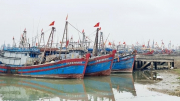 Tàu cá bị phạt hơn 932 triệu đồng vì khai thác hải sản bất hợp pháp