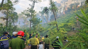 Cảnh sát PCCC hỗ trợ khống chế vụ cháy rừng thông