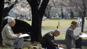 Nhật Bản trước tác động “đa tầng” của già hóa dân số