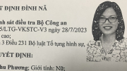 Quyết định đình nã đối với trưởng bộ phận tài chính Công ty AIC