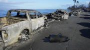 Hệ thống cảnh báo thảm họa ở Maui không hoạt động, 80 người chết oan?