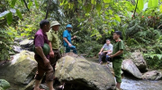 Làm rõ vụ phá rừng tại huyện Như Xuân