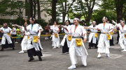 Đội múa của Việt Nam trình diễn tại lễ hội Yosakoi hàng đầu Nhật Bản