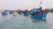 Mở đợt cao điểm xử lý vi phạm khai thác hải sản bất hợp pháp