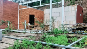 Bắt đầu cưỡng chế các công trình xây dựng sai phép trên đất rừng tại Sóc Sơn