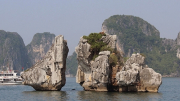 Quảng Ninh triển khai 2 nhóm giải pháp bảo tồn hòn Trống Mái