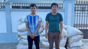 Phó Thủ tướng gửi thư khen Công an tỉnh Nghệ An phá đường dây vận chuyển vảy tê tê, gỗ trắc