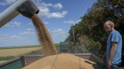 Ukraine kiện 3 nước thành viên EU vì chuyện ngũ cốc