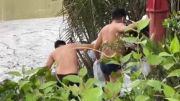 Thi thể cô gái trẻ kẹt trong đám dừa nước trên sông Rạch Chiếc