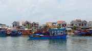 Một chủ tàu cá bị phạt hơn 850 triệu đồng