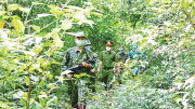 Vạch trần thủ đoạn lừa đảo qua mạng của các nhóm tội phạm hoạt động tại Campuchia