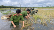 Giúp dân gặt lúa chạy lũ