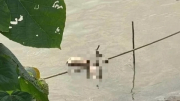Nạn nhân bị sát hại, phân xác ném trên sông Hồng được xác định là Hồ Yến Nhi