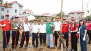 Dai-ichi Life Việt Nam tiếp tục triển khai Dự án “Trồng cây xanh đô thị” tại Hà Nội