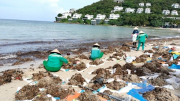 Phú Quốc nỗ lực xử lý “rác ngoại”
