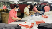 Gần 160.000 doanh nghiệp thành lập mới, đạt mức kỷ lục