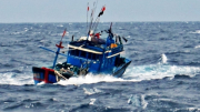 Tìm kiếm 4 ngư dân mất tích trên biển