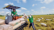 Gạo là mặt hàng xuất khẩu chủ lực của Việt Nam vào Philippines