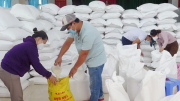 Xuất cấp gạo cho 5 tỉnh dịp Tết Nguyên đán Giáp Thìn và giáp hạt năm 2024