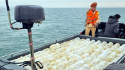 Cảnh sát đường thủy chặn bắt tàu chở 250 can xăng lậu trên biển