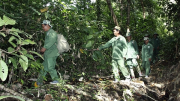 Nhiều biện pháp cấp bách phòng cháy, chữa cháy rừng ở Bình Phước