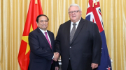 Thủ tướng Phạm Minh Chính hội kiến Chủ tịch Quốc hội và Toàn quyền New Zealand