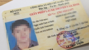 Điểm giấy phép lái xe sẽ được tính như thế nào?