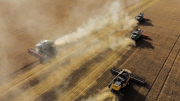Loạt 5 nước đòi châu Âu cấm ngũ cốc Nga