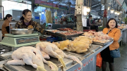 Mắc cúm A/H5N1 dễ tử vong, cảnh báo không ăn thịt gia cầm sống, săn bắt chim hoang dã