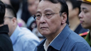 Chủ tịch Tập đoàn Tân Hoàng Minh bị tuyên phạt 8 năm tù, bồi thường 8.600 tỷ đồng