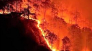 Cháy hàng chục ha rừng ở Cà Mau