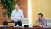 Tiền cấp quyền khai thác khoáng sản được thu theo năm và quyết toán theo sản lượng khai thác thực tế