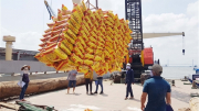 Việt Nam xuất khẩu gần 2,2 triệu tấn gạo trị giá 1,4 tỷ USD