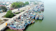 Thanh Hoá triển khai nhiều phương án gỡ “thẻ vàng” IUU