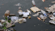 Cá chết lẫn rác gây ô nhiễm trên kênh Nhiêu Lộc - Thị Nghè
