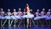 Đưa ballet Hồ Thiên Nga trở lại Việt Nam