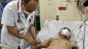 Việt Nam sắp có vaccine phòng bệnh sốt xuất huyết