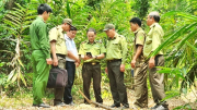 Tăng cường giải pháp bảo vệ “lá phổi xanh” ở Phú Yên