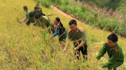 Mang lại bình yên các bản làng dân tộc Mông ở Sơn La