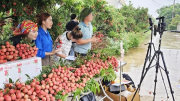 Livestream tạo cuộc đua gay cấn trong thương mại điện tử