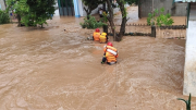 Tập trung bảo vệ các tuyến đê, hỗ trợ người dân khắc phục hậu quả mưa lũ