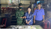 Nữ 2k "ôm" 40 bánh heroin và 15kg ma túy từ Lào về Việt Nam