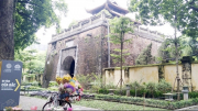 Nhịp phố bốn mùa hoa